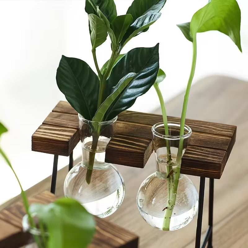 Transparante Glazen Vaas Set | Houten Standaard | Hydroponic Vaas