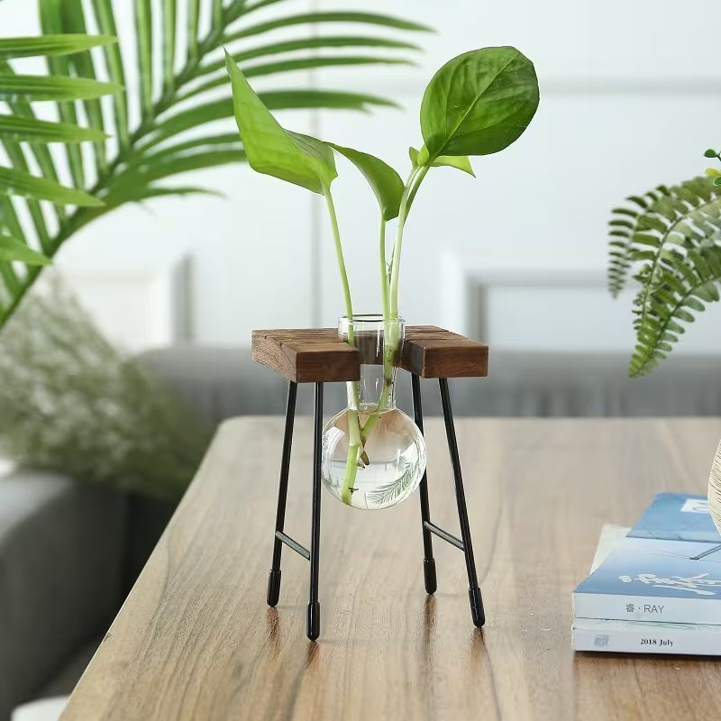 Transparante Glazen Vaas Set | Houten Standaard | Hydroponic Vaas