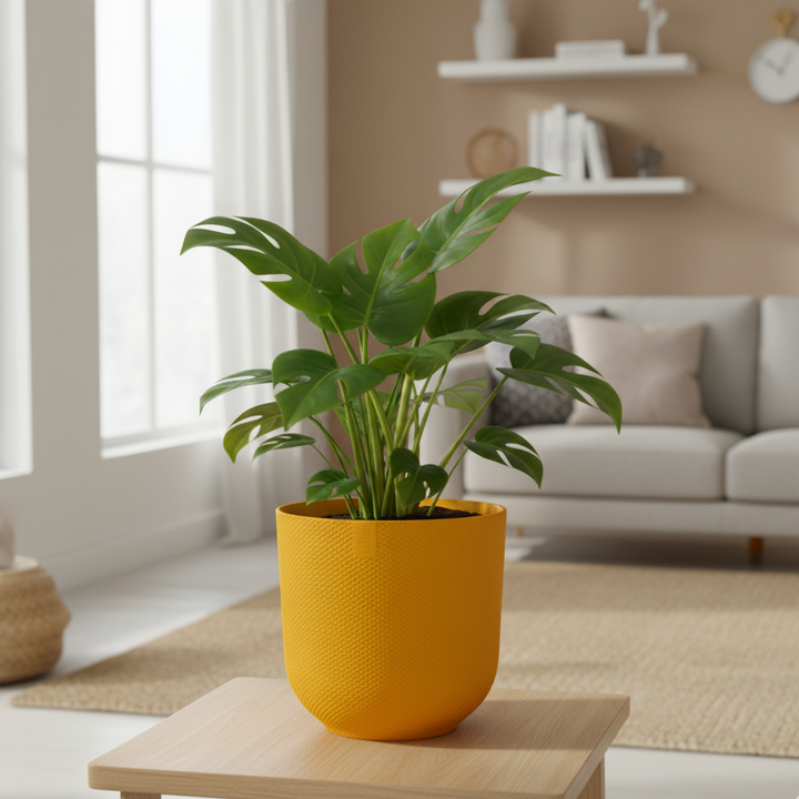 Elho Jazz Round | Elegante Terracotta Bloempot met Matte Afwerking