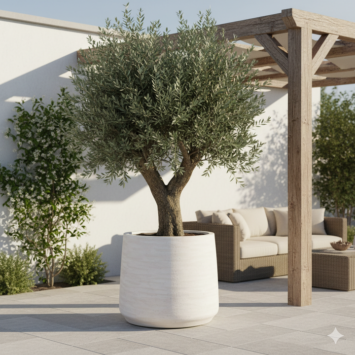 Jumbo Patt Ivory Washed | Grote Handgemaakte Bloempot in Natuurlijke Ivoorlook