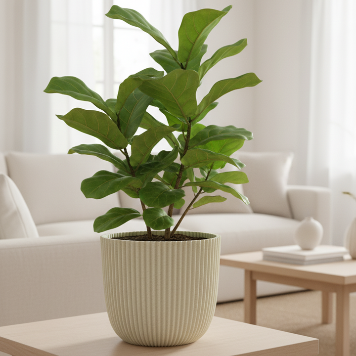 Nature Groove | Duurzame Bloempot van Natuurlijke Materialen – Beige