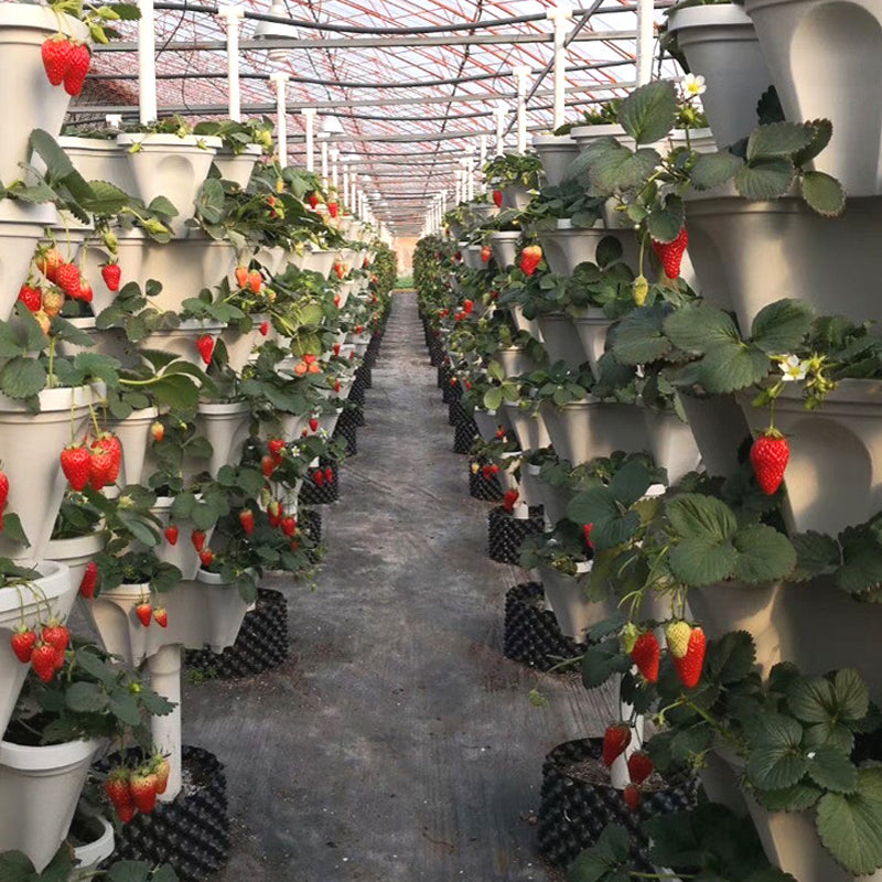 Stack-Up Plantenbak | Bespaar ruimte met de stijlvolle stapelbakken