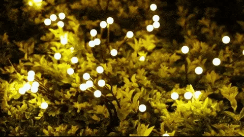 FireFlies | sfeervolle LED tuinverlichting