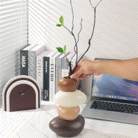 ZenStone™ Handgeschilderde Resin Vaas | Rustgevende Steen-Decoratie