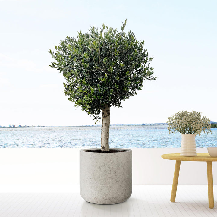 Jumbo Charlie Beige Washed | Grote Handgemaakte Bloempot in Beige look